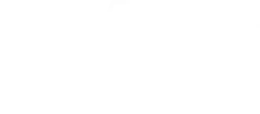 Walsh Construction