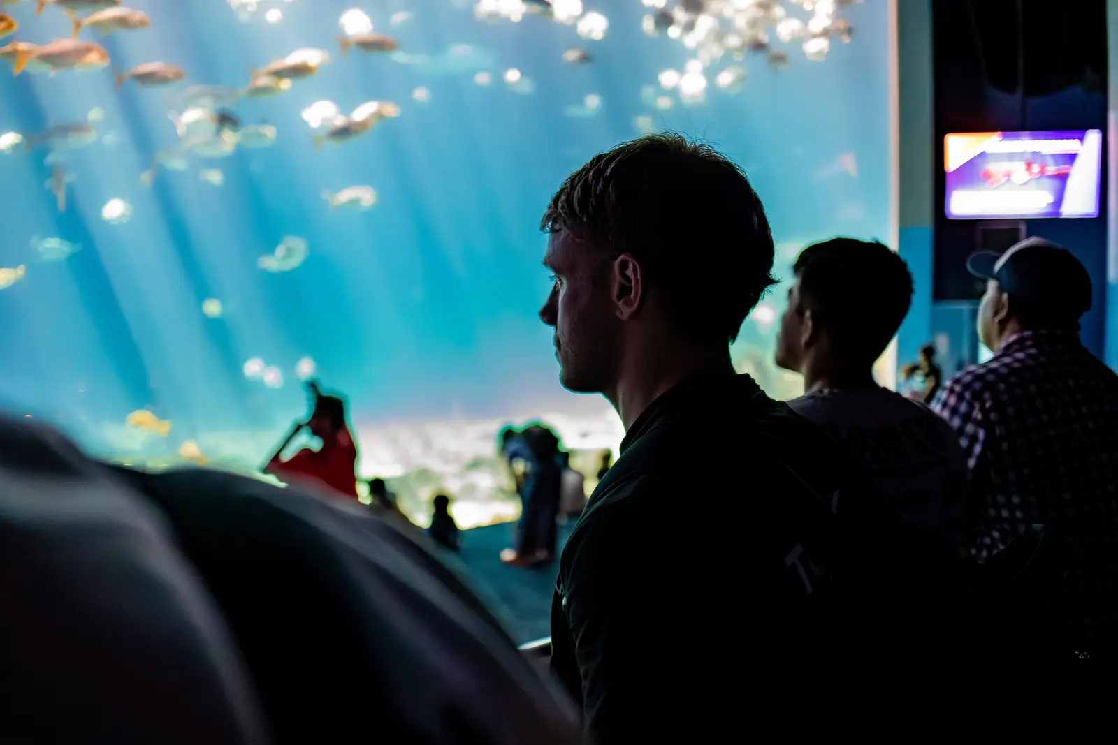 Event photography in Atlanta by Hylton Media Group: guests at the main tank at Georgia Aquarium
