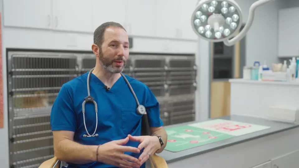 Brand Video for Veterinary Patient Care — Corporate video production by Hylton Media Group, Atlanta